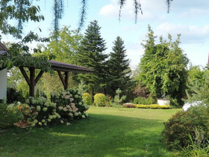 Sprzedam dom z działką