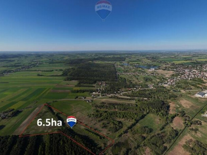 6,5 ha działka inwestycyjna | Kaliś k. Wolbromia