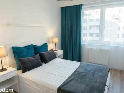 Legnicka Pixel House 2 osobne pokoje, piwnica, balkon