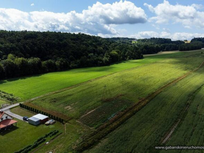 Działka budowlana Olszyny gm. Rzepiennik Strzyżewski