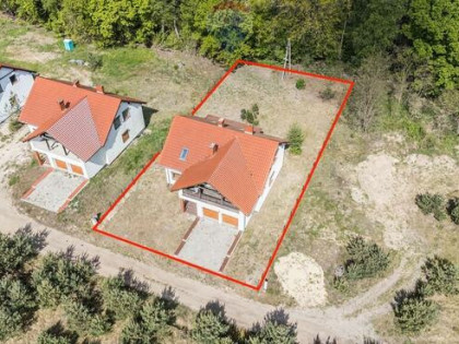 WOLNOSTOJĄCY | LAS | CISZA | SĘKOWO | natura