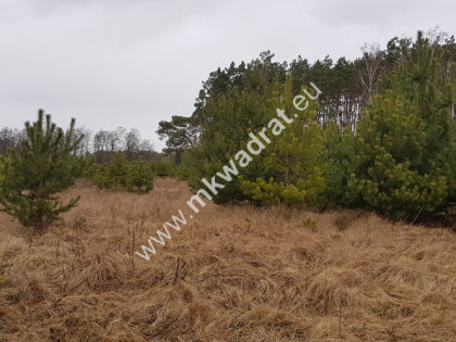 Działka z dojazdem  od ulicy gminnej