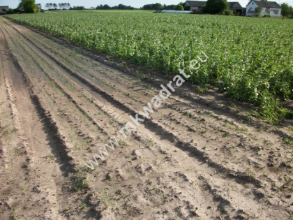 Konstantów działka 1.225m2 wym.35x35 PKP A2 LUX !! Konstantów