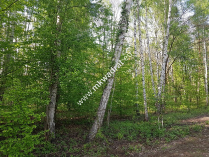 DZIAŁKA Z PLANEM ZAGOSPODAROWANIA