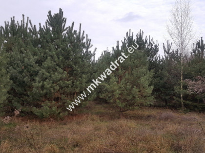 Działka 1157 m Osowiec