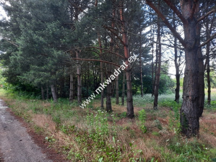 Urocza działka blisko WKD Kady