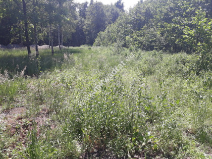 atrakcyjna działka w Nadarzynie