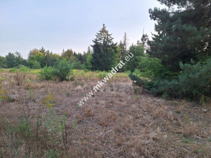 Duża działka z Planem Zagosp. 1MN LUX lokalizacja! Kajetany