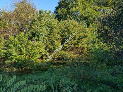 Milanówek |  dom 2 lokalowy blisko WKD