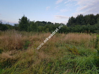 Działka w drugiej linii super lokalizacja Żółwin