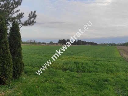 3416m2 Pasikonie k/Kampinosu z warunkami zabudowy!