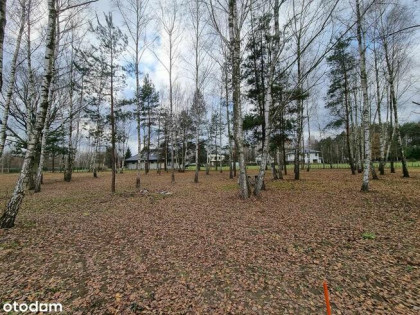 Zadrzewione działki budowlane z MPZP - zabudowa mieszkaniowa