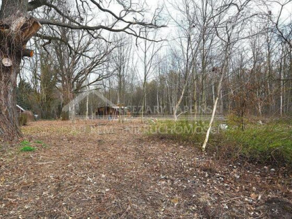 Działka budowlana Trojaczkowice gm. Niedrzwica Duża, Trojaczkowice Duże