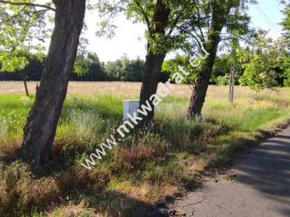 Piękna działka pod lasem Chrzczany k/Sochaczewa