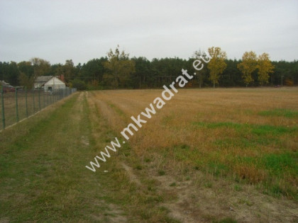 Działki Mistrzewice k/Sochaczewa Okazja !!! Mistrzewice