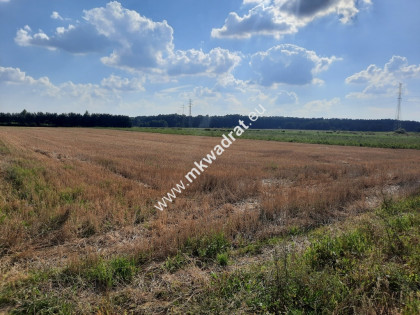 Niedroga działka przemysłowo/usługowa Nadarzyn Walendów
