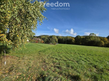 Widokowa  działka  usługowa- budowlana w Rzykach