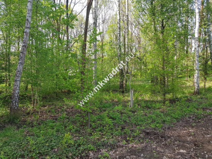 Działka BUDOWLANA - Z PLANEM ZAGOSPODAROWANIA MN