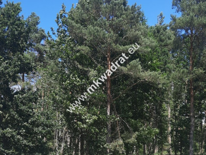 Stara Wieś super lokalizacja, media!