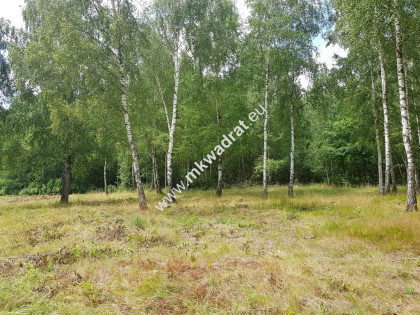 Budy Grzybek  3 działki  + skrzynki elektryczne