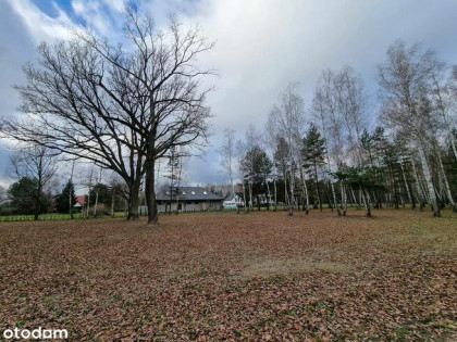 Zadrzewiona działka budowlana z MPZP - zabudowa mieszkaniowa