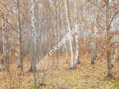 ⭐⭐⭐⭐działka siedliskowa z WZ na dom + bud.gar⭐⭐⭐⭐
