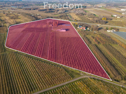 11 ha w Bikówku powiat grójecki