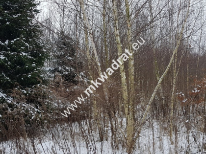 Działka usługowa z MPZP symbol U Super oferta