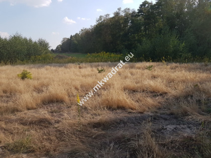 Działka przy lesie pod dom 2-lokalowy MPzP Media!