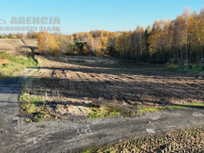 Jastrzębie Zdrój 5 działek budowlanych Ruptawa