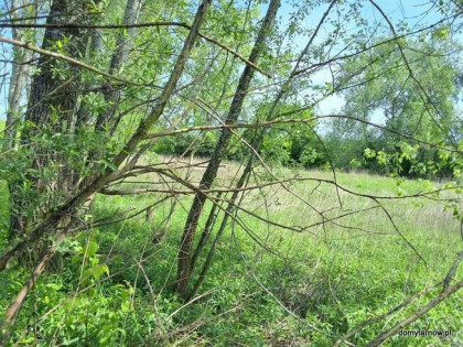 Działka rolna w Tarnowie