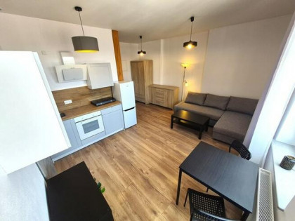 Wynajmę kawalerkę w centrum Chorzowa, Wolności 30