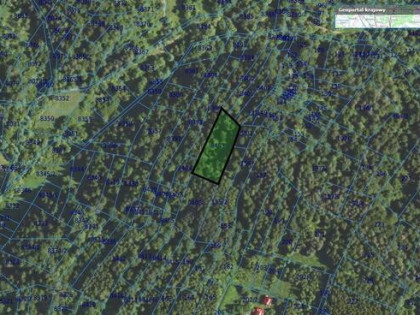 Działka leśna Domaradz