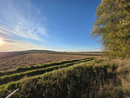 Działka Buków gm. Żarów