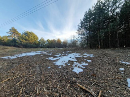 Syndyk sprzeda nieruchomość w miejscowości Klucze