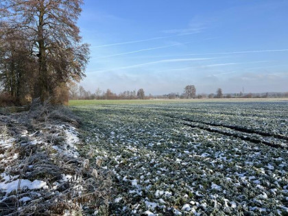 Działka rolna Zawada gm. Turawa, Brzegowa