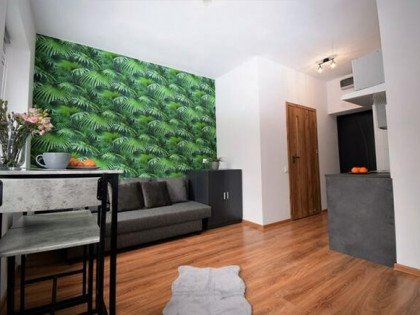 Katowicka 2-B, nowoczesne studio, pet-friendly