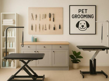 Odstąpię działający salon groomerski w Kielcach