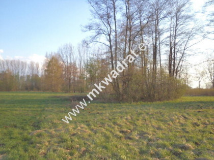 Atrakcyjne siedlisko 1.2ha Piękna działka lux cena
