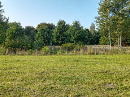 2500m2 BUDOWLANA, piękne miejsce, LASY, 69km od centr. Wwy