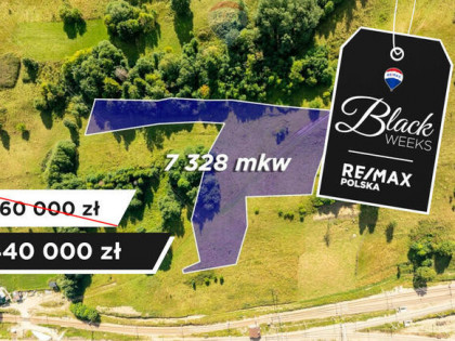 Działka rolna w Zakopanem - Bachledzki Wierch