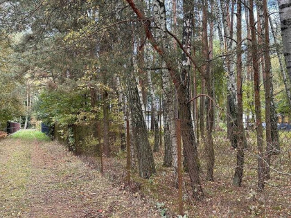 Kwiatkowiece Las- działka pod dom, cisza, las