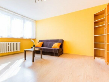 Paderewskiego 9, słoneczna kawalerka blisko PŁ