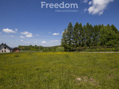 Działka z warunkami zabudowy Chmielnik