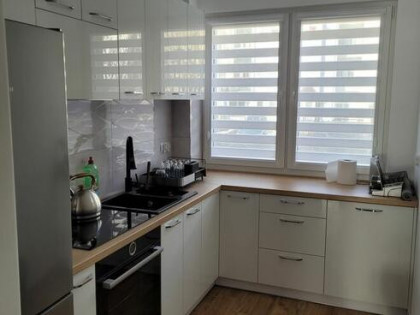 kawalerka na wynajem