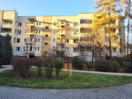 SŁONECZNE | DUŻA ODDZIELNA KUCHNIA