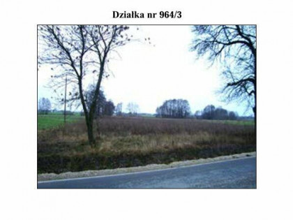 SYNDYK SPRZEDA DZIAŁKĘ