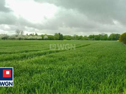 Działka budowlana Trębaczów gm. Łęczna, Os. Kolonia Trębaczów