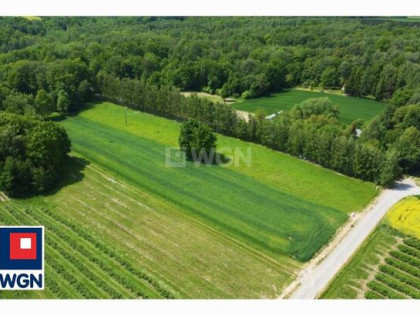 Działka siedliskowa Drzewce-Kolonia gm. Nałęczów, Kolonia Drzewce