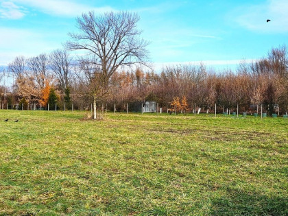 Działka budowlana-Tarnów-Czarna Droga